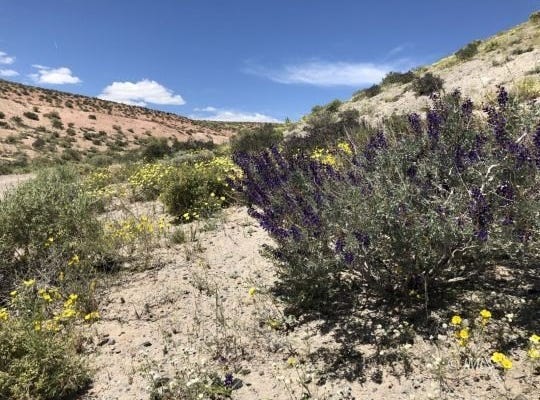 000 Pumice Mill Road, Chalfant Valley, CA 93514