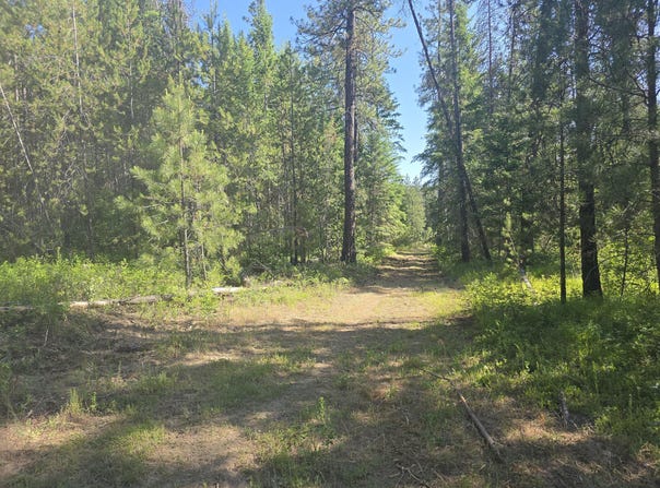 XXX HWY 395, LOON LAKE, WA 99148