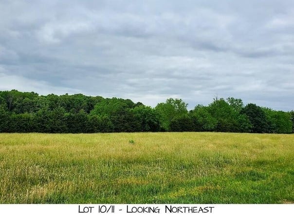 Pleasant View Rd lot: 10, Brighton, MO 65617