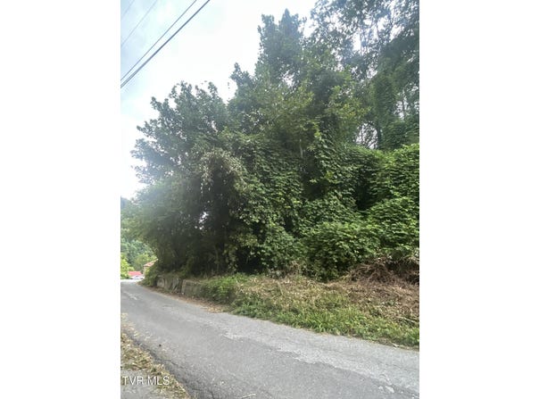 Big Br Road, Saint Charles, VA 24282