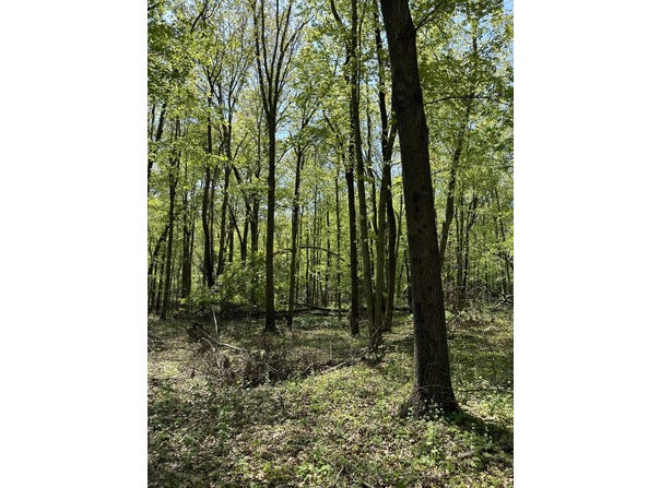 3102 W Kirby Road, Battle Creek, MI 49017