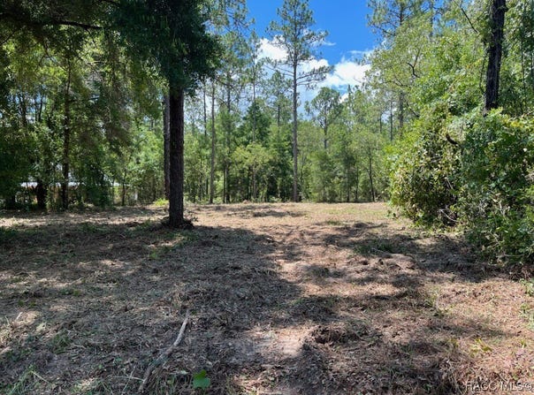 SW 57th Place lot: 51, Dunnellon, FL 34432
