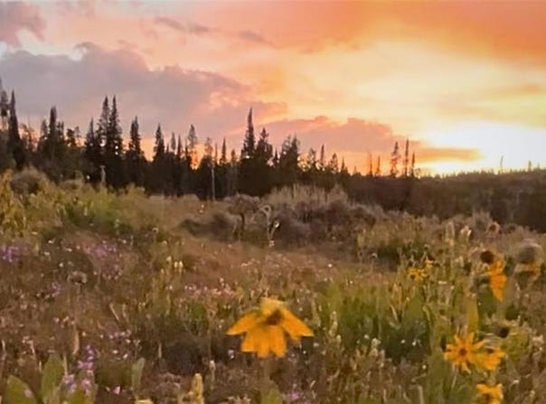 Spring Creek Ranch Rd lot: Ar, SILVERTHORNE, CO 80498
