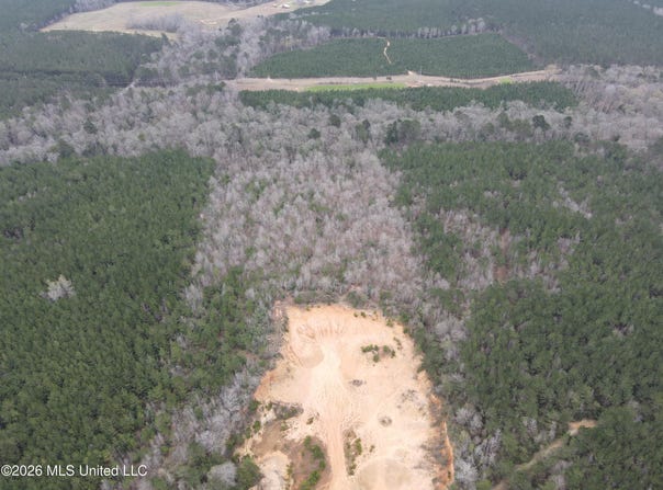 2573 SE Pricedale Drive, Bogue Chitto, MS 39629