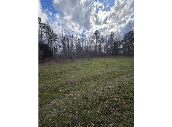County Road T-435, Birch Tree, MO 65438