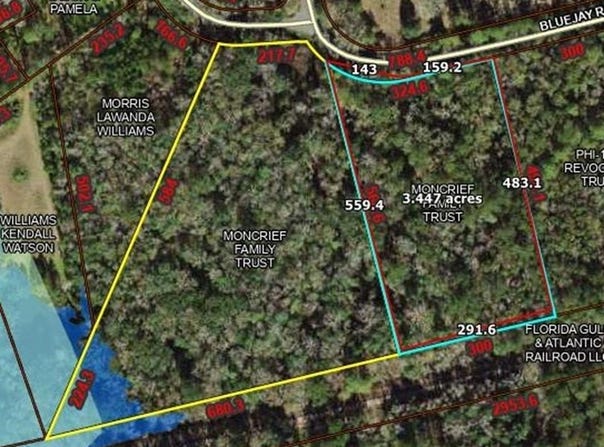Mallard/Blue Jay Lane unit: 2/3, Monticello, FL 32344
