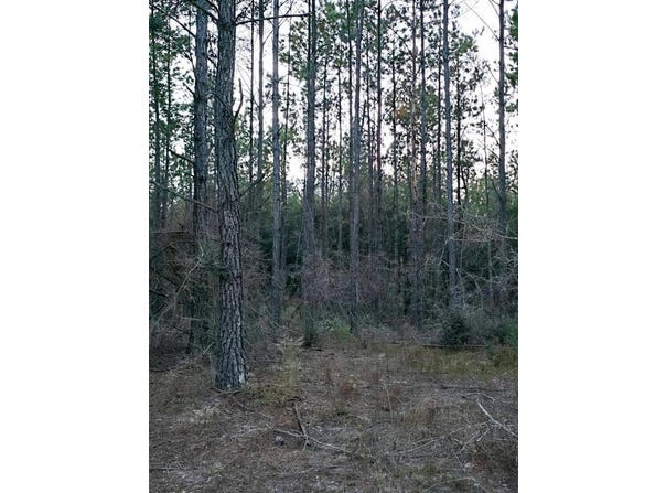 0 Gopher Ridge Rd, Samson, AL 36477