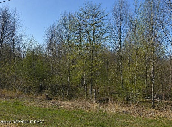 Buttonbush Lane, Hazle Township, PA 18202