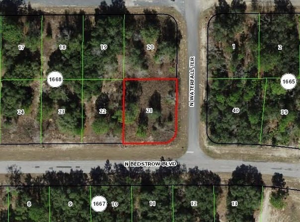 6597 N Bedstrow Boulevard, Citrus Springs, FL 34433