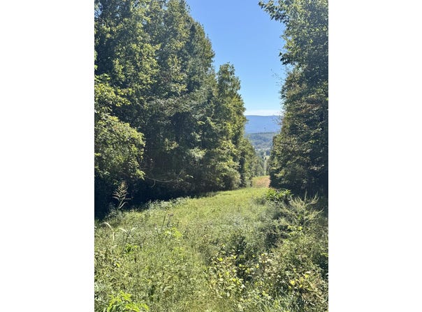 Mountain View Drive, Whitwell, TN 37397