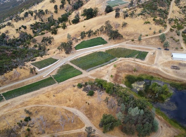 Lower Lake, CA 95457
