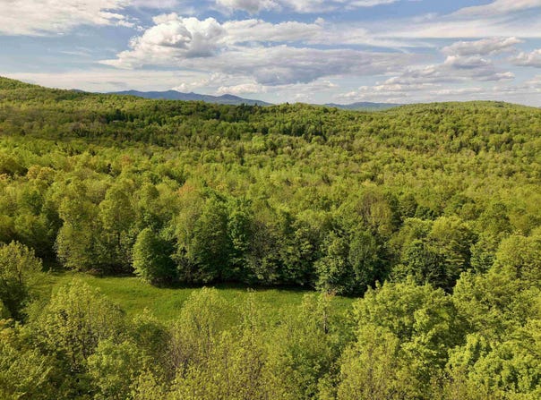 Rabbit Run, Fayston, VT 05673
