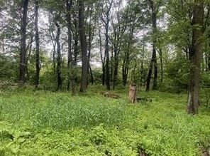 Lots 89 And 90 Laurel Summit Road, Jenner Twp, PA 15531