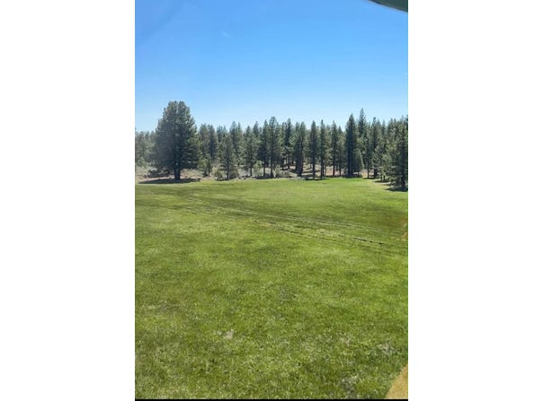 Doyle Grade, Chilcoot, CA 96105