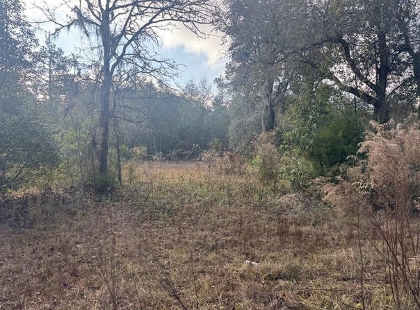 Douglas Ave Tract 5, Douglas, GA 31533