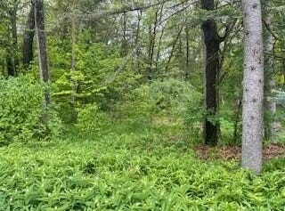 124 Cadillac Avenue lot: 119-120 & 143-144, Houghton Lake, MI 48629