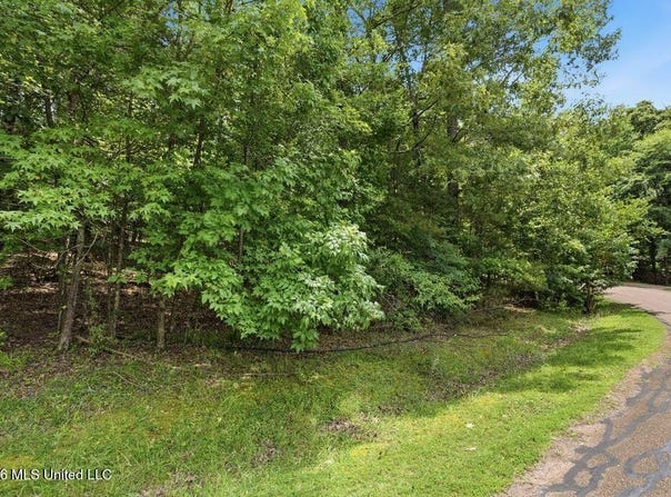 Dover Lane, Madison, MS 39110