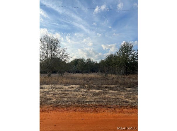 Deer Loop lot: 41, Camden, AL 36726