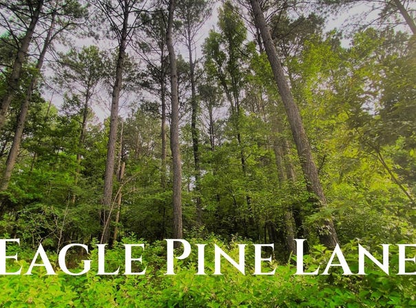 209  Eagle Pine Ln, Broken Bow, OK 74728