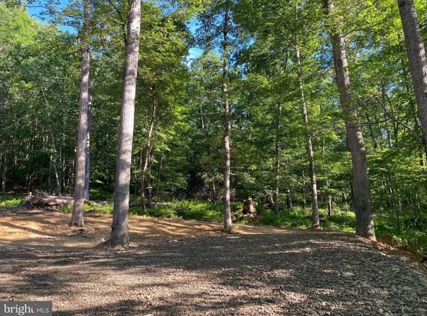 2.28 AC THORN BOTTOM, LOST RIVER, WV 26810
