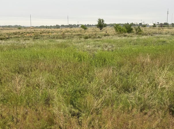 203 NW 16th Avenue, Amarillo, TX 79101