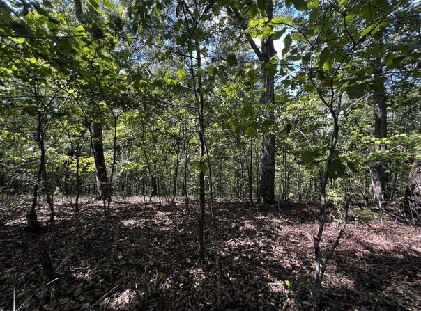 1407 Foxhound Trail, Ranger, GA 30734