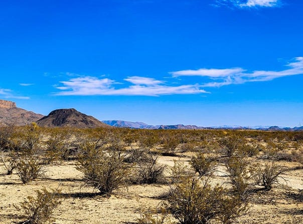 15014 Red Dawg Road, Terlingua, TX 79852