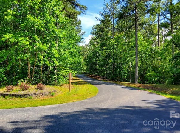23/24 Loblolly Lane unit: 23/24, Mill Spring, NC 28756