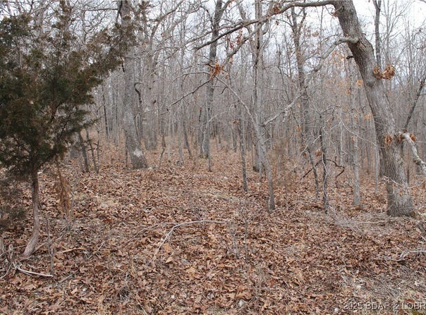 Bogardus Road, Edwards, MO 65326