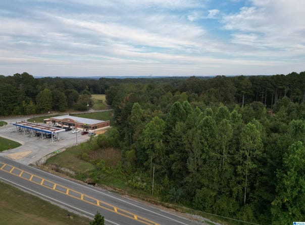 HIGHWAY 160 lot: Tract 1 Edwards Subdivision, HAYDEN, AL 35079