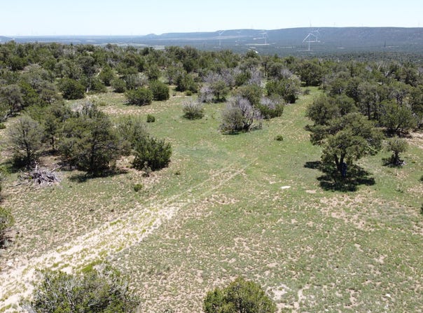 Swayback Trail lot: 16, Corona, NM 88318