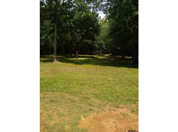 391 Crescent Dr, Bullard, TX 75757