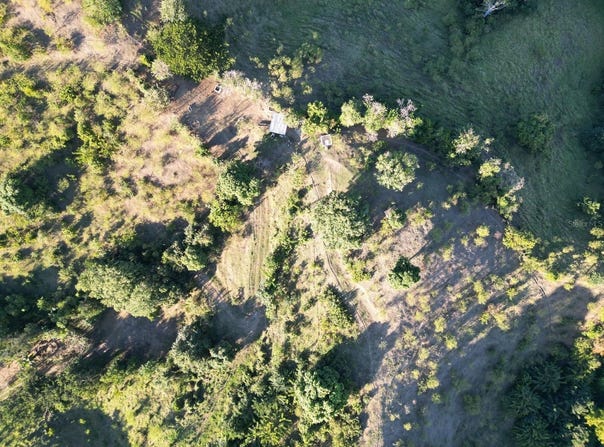 Quebrada Limon CARR 520 KM 3.9, PONCE, 00731