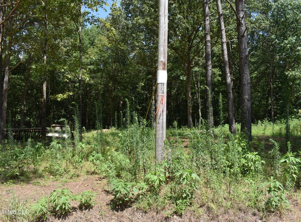 6 Gray Academy Road, Ashland, MS 38603