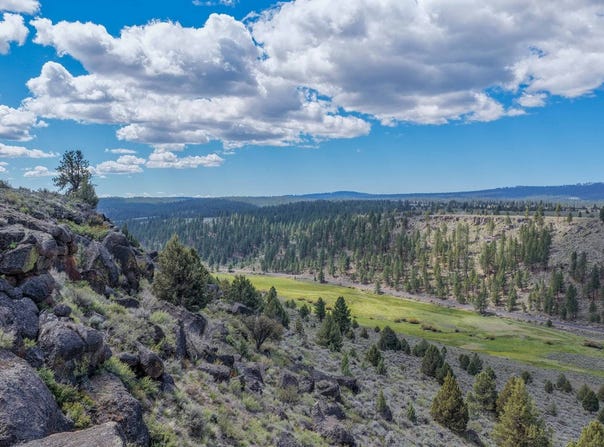 TL 600 Hines Logging Road, Hines, OR 97738
