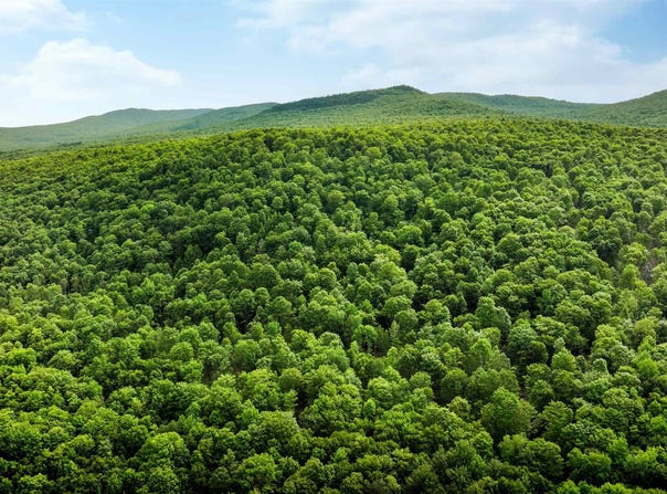 2448 Lost Nation Road, East Haven, VT 05837