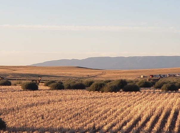 Antelope Road, Shawmut, MT 59078