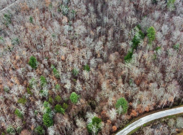 0 ROCK HOUSE Rd, Pioneer, TN 37847