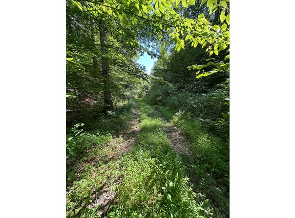 5313 W KY 70, Liberty, KY 42539