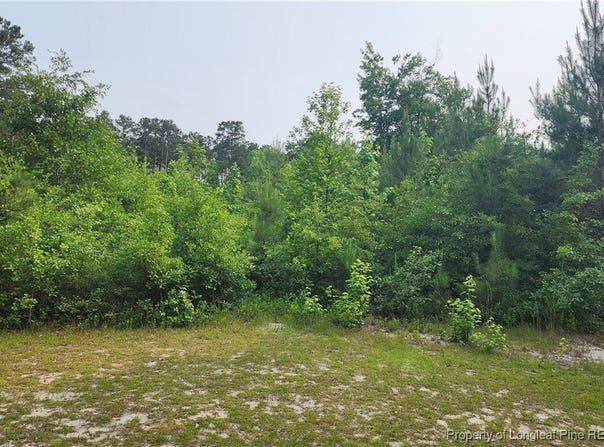 398 Dogwood Trail, Lumber Bridge, NC 28371
