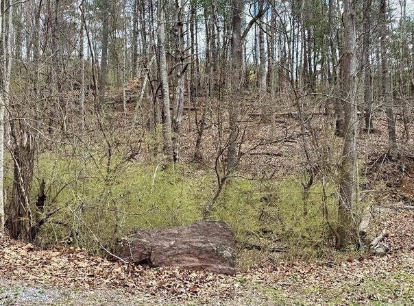 TBD Cherry Blossom Lane, Wytheville, VA 24382