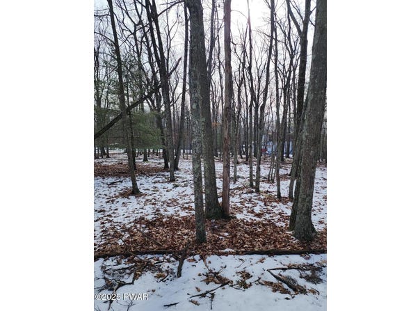Lot 897 Pico Lane, Tafton, PA 18464