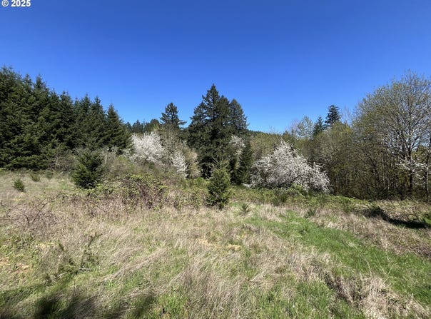 NS, Forest Grove, OR 97116