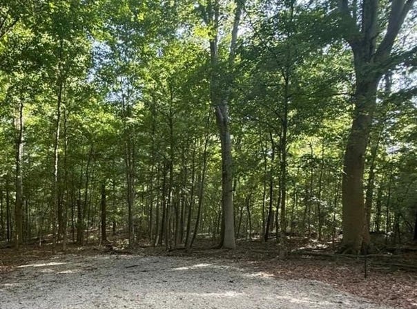 49.49+/- AC Baptist Church Road, Elizabeth, IN 47117