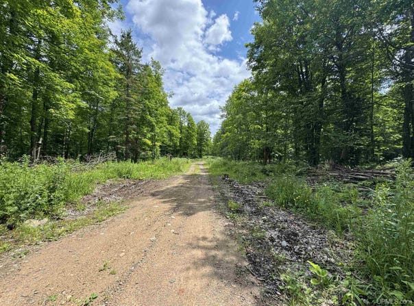 33 Acres Off Bates Amasa, Crystal Falls, MI 49920