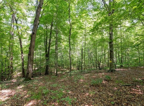 6910 Long Meadow Lane, Whitsett, NC 27377