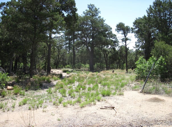 7 BLACKBIRD Road, Tijeras, NM 87059