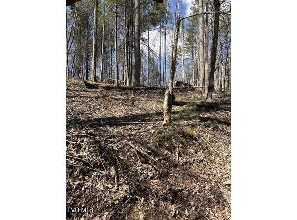 400 Woodchuck Way, Laurel Bloomery, TN 37680