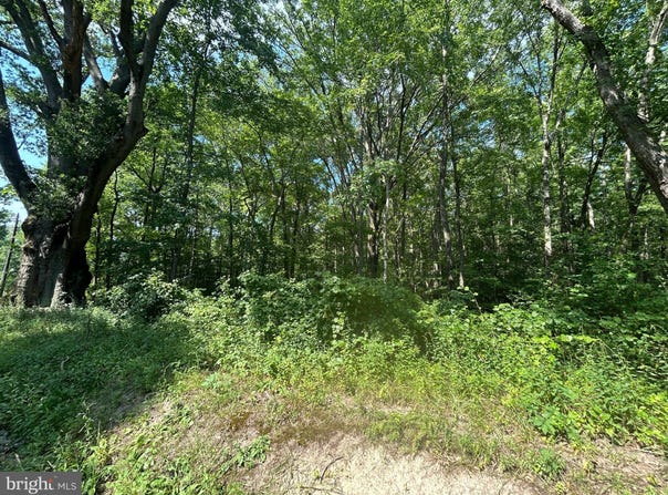 CHESTERVILLE FOREST ROAD, MILLINGTON, MD 21651