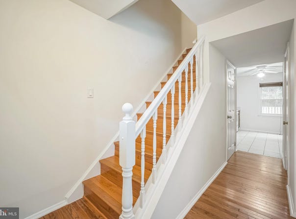 8361 LUCE COURT, SPRINGFIELD, VA 22153